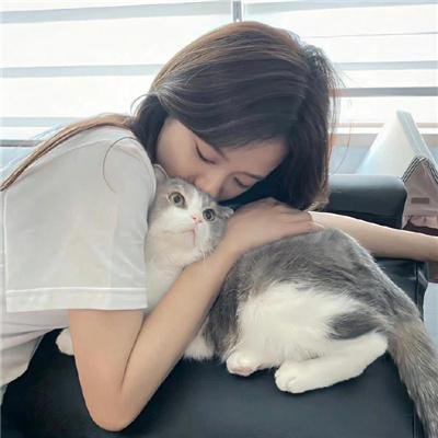 全面通缉